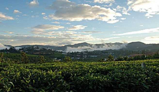 Nilgiris  Die Blauen Berge von Kerala