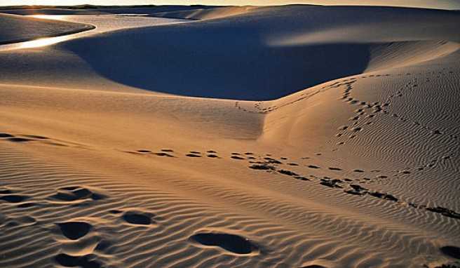 Die Lençóis Maranhenses, Brasiliens Wüste