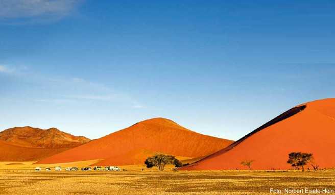 Wie Ameisen auf einem gigantischen Sandhaufen: Wanderer steigen auf die »Düne 45« im Namib-Naukluft-Park Wie Ameisen auf einem gigantischen Sandhaufen: Wanderer steigen auf die »Düne 45« im Namib-Naukluft-Park