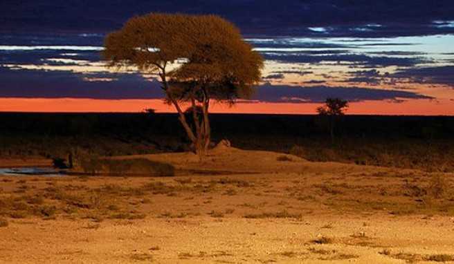 Nachtstimmung von einer Lodge-Terrasse im Etosha Nationa Park in Namibia