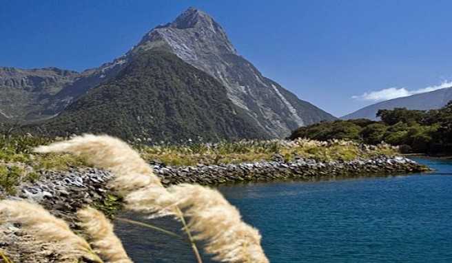 Der Mitre Peak am Milford Sound im neuseeländischen Fjordland
