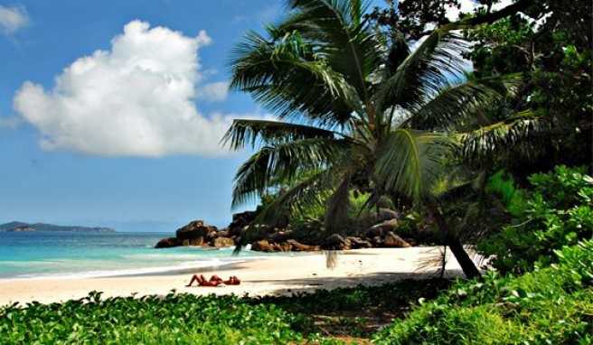 Strandparadies Anse Georgette, Praslin, Seychellen##Foto: Wikimedia Commons, DimiTalen Strandparadies Anse Georgette, Praslin, Seychellen