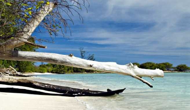 Robinsonurlaub auf Desroches, Outer Islands, Seychellen##Foto: Wikimedia Commons, Pieter Visser Robinsonurlaub auf Desroches, Outer Islands, Seychellen