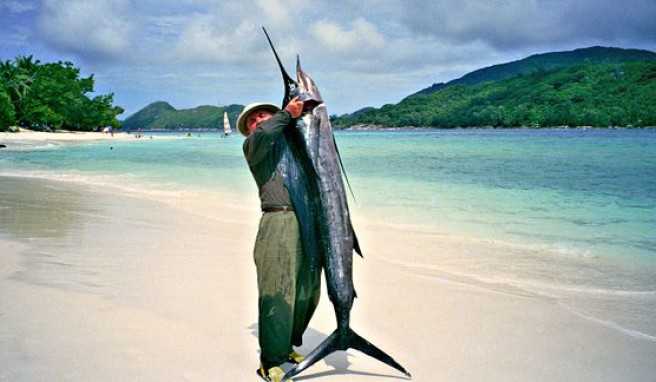 Fischreiche Seychellen, Fischer am Beach von Mahe Island##Foto: Wikimedia Commons, Jerzy Strzelecki Fischreiche Seychellen, Fischer am Beach von Mahe Island