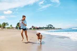 Hundestrände gibt es mittlerweile an vielen Urlaubsorten. Hier können Halter gemeinsam Spaß haben.##Foto: puhha - fotolia.com Hundestrände gibt es mittlerweile an vielen Urlaubsorten. Hier können Halter gemeinsam Spaß haben.