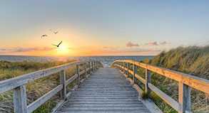 Der Weg über die Dünenlandschaft führt zu Strand und Meer in der Brandungszone##Foto: © Marco2811 - fotalia.com (#86499028) Der Weg über die Dünenlandschaft führt zu Strand und Meer in der Brandungszone