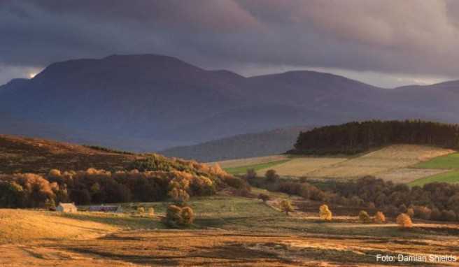 Der Whisky-Trail führt durch die Highlands von Grantown-on-Speya##Foto: Damian Shields/Visit Scotland/dpa-tmn Der Whisky-Trail führt durch die Highlands von Grantown-on-Spey
