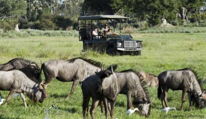 Das Naturerlebnis nicht teilen müssen: Vor ganzen Jeep-Ladungen voll mit weiteren Touristen ist man dank der teilweise schwer zugänglichen Luxus-Unterkünfte verschont##Foto: Caroline Culbert/dpa Das Naturerlebnis nicht teilen müssen: Vor ganzen Jeep-Ladungen voll mit weiteren Touristen ist man dank der teilweise schwer zugänglichen Luxus-Unterkünfte verschont