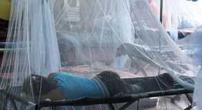 Fälle von Dengue-Fieber tauchen nicht mehr nur im ärmeren Regionen wie Honduras (im Bild) auf. Auch Industrienationen melden Infektionen