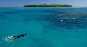 Lady Musgrave Island liegt 60 Kilometer vor der Küste von Queensland im Süden des Great Barrier Reefs.##Foto: Röwekamp/dpa/tmn