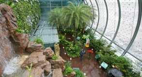 Der Fluhafen Singapur-Changi bietet Reisenden während der Wartezeit einen Garten mit Schmetterlingen