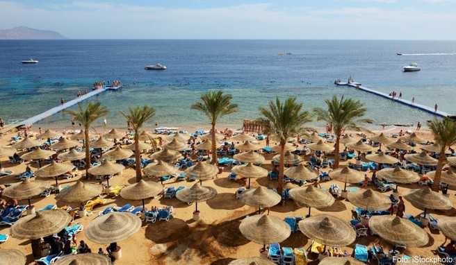 Viele nette Yachten stehen für Tauchgänge oder Ausflüge am Roten Meer in Ägypten zur Verfügung##Foto: iStockphoto Viele nette Yachten stehen für Tauchgänge oder Ausflüge am Roten Meer in Ägypten zur Verfügung
