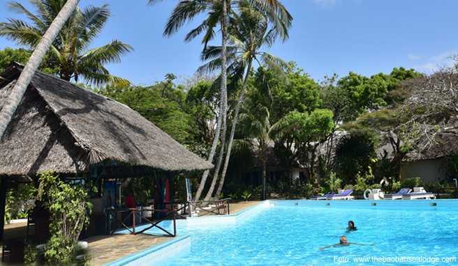 Die &raquo;Baobab Sea Lodge&laquo; liegt direkt am wei&szlig;en Sandstrand von Kilifi