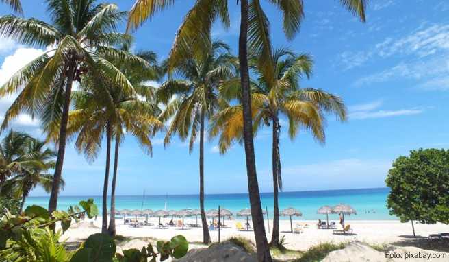 Text...##Foto: pixabay.com Auf der weitläufigen Anlage befinden sich neben einem Süßwasserpool auch ein A-la-carte-, und ein Buffetrestaurant