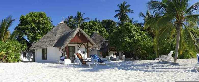 Malediven, Nord-Male-Atoll, Thulhagiri Island: Barfußinsel mit Wellensittichen