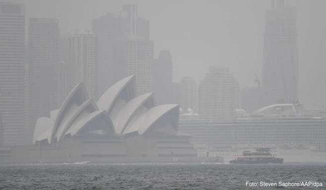 Auch in Sidney sind die Folgen der Buschbrände deutlich zu spüren: In der Stadt breitet sich starker Rauch aus