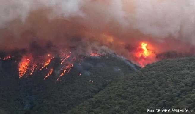 Ein Screenshot aus einem Video zeigt ein großes Feuer, das in East Gippsland brennt