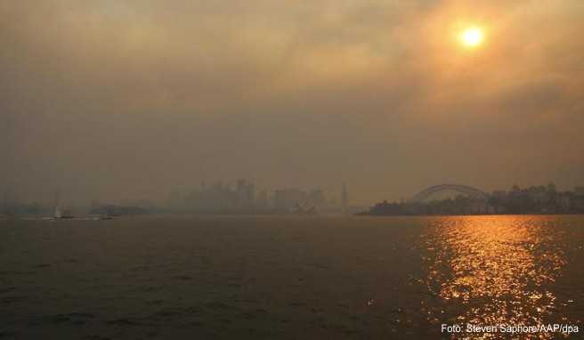 Durch dichte Rauchschwaden ist die Skyline von Sydney am Horizont zu sehen