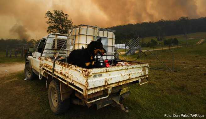 Rauch steigt über einem Gebiet außerhalb von Nana Glen während der Buschfeuer auf