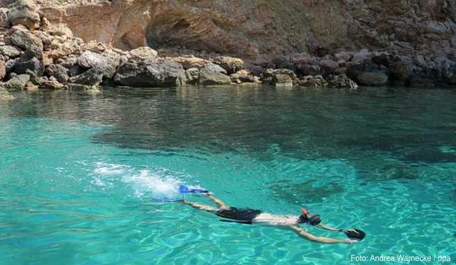 Schnorcheln im kristallklaren Wasser - ohne Sonnencreme kann dabei schnell die Haut verbrennen. Manche der Produkte stehen aber in Verdacht, Meeresbewohnern zu schaden