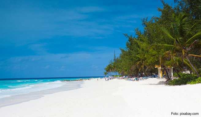 Barbados besitzt eine der abwechslungsreichsten Naturlandschaften der Karibik