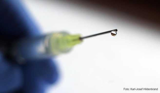 Brasilien, Gelbfieber