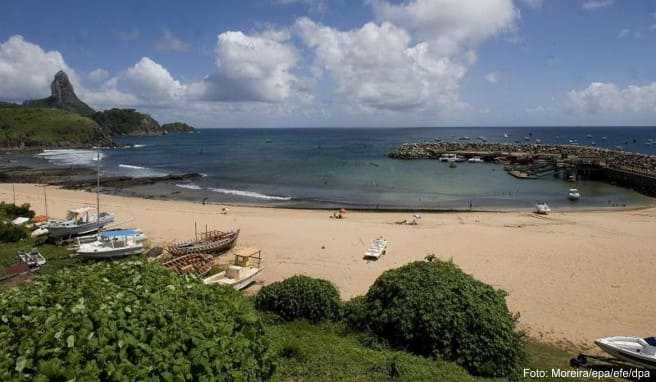 Fernando de Noronha: Insel in Brasilien öffnet wieder für Touristen