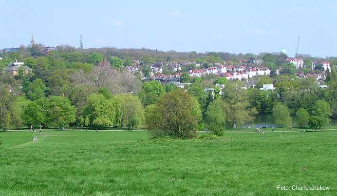 Wer Ruhe und Entspannung sucht, ist in dem Wald- und Wiesengebiet genau richtig