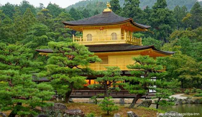 Der goldene Tempel Kinkaku-ji in Kyoto ist eine Sehenswürdigkeit der geschichtsträchtigen Stadt - Japan als Studienreiseziel ist im Trend. Der goldene Tempel Kinkaku-ji in Kyoto ist eine Sehenswürdigkeit der geschichtsträchtigen Stadt - Japan als Studienreiseziel ist im Trend.