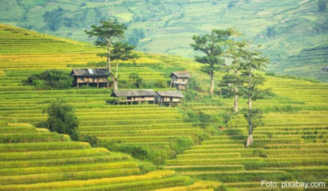 Foto: ##pixabay.com REISE und PREISE