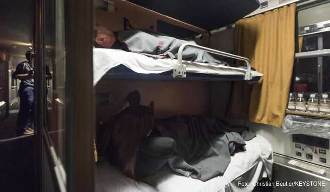 Die Österreichische Bundesbahnen (ÖBB) will in den kommenden Jahren mehr Schlafwagen auf die Strecke bringen. Die Deutsche Bahn plant derzeit kein eigenes Angebot