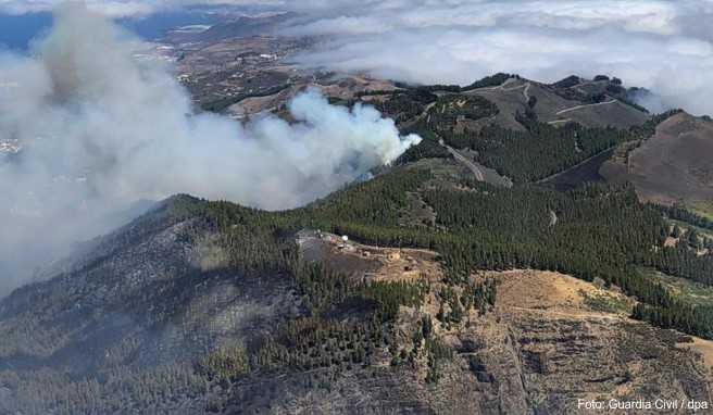 Rauch steigt über die Berge von Gran Canaria auf. Der seit dem Wochenende wütende Waldbrand ist noch nicht unter Kontrolle
